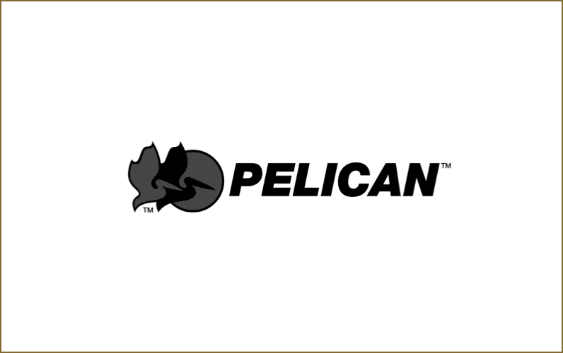 Pelican